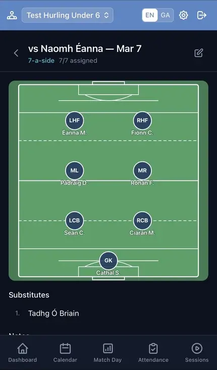 GAA pitch lineup view with 7-a-side formation and players assigned